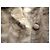 Autre Marque Abrigo de piel Laverre Bourguignon Beige - vista 8