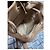 GUCCI Vintage Monogramm Canvas Mini Zugbeutel Tasche Braun/Beige - Ansicht 14