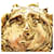 Hermès Hermes Vintage Gold Brooch Golden  - view 5