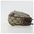 Borsa Sherry Line GG Supreme Web di GUCCI in PVC beige e oro 89 02 066 Auth YKZ1224A D'oro - vista 3