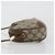 Borsa Sherry Line GG Supreme Web di GUCCI in PVC beige e oro 89 02 066 Auth YKZ1224A D'oro - vista 4