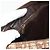 Borsa a mano in tela Trotter Christian Dior oro marrone Auth 175135 D'oro - vista 18
