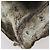FENDI Backpack Fur Beige Silver Auth YKZ827A Silvery - view 16