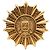 Spilla placcata in oro con il logo Coco di Chanel D'oro