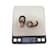 Hermès BOUCLES D'OREILLES HERMES VARIATION EN CORNE DE BUFFLE ET LAQUE EARRINGS  - vue 10