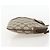 Borsa Sherry Line GG Supreme Web di GUCCI in PVC beige e oro 904 02 047 Auth 175285 D'oro - vista 4