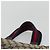 Borsa a Mano Gucci GG Canvas Sherry Line Rossa Blu Navy 145810 Auth 175695 Rosso - vista 8