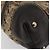 Borsa a Mano GG Crystal Gucci Beige Oro 223964 Auth kk656 D'oro - vista 14