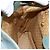 Zaino in suede Gucci Bamboo verde oro Auth 175320 D'oro - vista 22