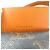 Céline Borsa Cubo Piccola Celine - Tela Logo Triomphe Miele Giallo - vista 11