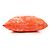 Coussin Dioliviera HYP02RCO0U de Christian Dior Orange - vue 4