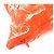 Coussin Dioliviera HYP02RCO0U de Christian Dior Orange - vue 5