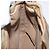 Gucci Borsa GG Supreme Web Sherry Line in PVC beige e oro 41 02 034 Auth 175632 D'oro - vista 20