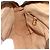 Borsa Sherry Line GG Supreme Web di GUCCI in PVC beige e oro 001 113 6472 Auth 175628 D'oro - vista 20