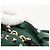 Zaino in pelle Valentino Rock Studs verde oro Auth BA12134A D'oro - vista 14