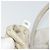 Ribbon PRADA Borsa a Mano in Nastro Nylon Beige Oro Auth mr2363 D'oro - vista 23