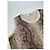 Top senza maniche in maglia con stampa pitone vintage Givenchy Boutique crema marrone M - vista 5