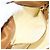 Borsa a Spalla PRADA Nylon Avorio Oro Auth BA12301 D'oro Crudo - vista 21