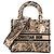 DIOR - Lady D-Lite Plan de Paris Dior Schultertasche aus braunem Canvas Limited Edition