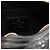 LOUIS VUITTON - Borsa a tracolla Papillon BB Bubblegram Louis Vuitton in pelle nera edizione limitata Nero - vista 5
