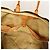 Borsa Boston Monogram Sirius 70 Louis Vuitton Marrone - vista 6
