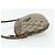 Gucci Borsa a Spalla GG Supreme PVC Beige Oro 904 02 020 Auth ep14105 D'oro - vista 4