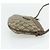 Gucci Borsa a Spalla GG Supreme PVC Beige Oro 904 02 020 Auth ep14105 D'oro - vista 5