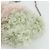 Borsa a Spalla Miu Miu con Catena in Pelliccia Rosa Bianco Verde Auth 168873A - vista 14