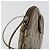 Borsa Sherry Line GG Supreme Web di GUCCI in PVC beige e oro 98 02 047 Auth ep14179 D'oro - vista 15