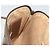 Borsa Sherry Line GG Supreme Web di GUCCI in PVC beige e oro 98 02 047 Auth ep14179 D'oro - vista 18