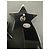 Coco Crush Orecchini Chanel CC Stelle in resina Nero - vista 6