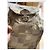 Edizione Limitata "Patchwork Esotico" Borsa "Bowling Bag" Convertibile Esclusiva di Dolce & Gabbana. Beige Taupe Marrone chiaro - vista 3