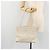 Borsa Tote in pelle Intrecciato Bottega Veneta bianca e oro Auth bs34623 - vista 22