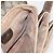Borsa a Spalla Gucci GG Supreme Web Sherry Line PVC Beige Oro Auth 175366 D'oro - vista 19