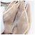 Borsa a Spalla Gucci GG Supreme Web Sherry Line PVC Beige Oro Auth 175366 D'oro - vista 22