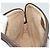 Gucci Borsa a Spalla GG Supreme PVC Beige Oro 89 02 068 Auth ep14193 D'oro - vista 20