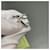 Van Cleef & Arpels Ruban diamond white gold earrings Silvery  - view 6