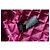 Philipp Plein, jaqueta bomber com capuz e bordado floral Multicor - vista 9