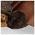 LOUIS VUITTON Borsa a Spalla Monogram Cartouchiere MM M51253 LV Auth BA12218 Monogramma - vista 21