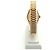 Rolex Damenarmbanduhr Datejust aus Gold mit Diamanten Golden - Ansicht 6