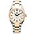 Omega Orologio da uomo Seamaster Aqua Terra Combo in Oro Rosa Co-Axial Automatico