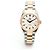 Omega Orologio da uomo Seamaster Aqua Terra Combo in Oro Rosa Co-Axial Automatico - vista 12