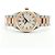 Omega Orologio da uomo Seamaster Aqua Terra Combo in Oro Rosa Co-Axial Automatico - vista 15