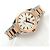 Omega Orologio da uomo Seamaster Aqua Terra Combo in Oro Rosa Co-Axial Automatico - vista 18