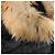 Moncler Chaqueta larga de plumas de piel de mapache para mujer Chloe negra Negro - vista 8