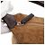 Céline CELINE C Macadam Canvas Handtasche aus Wildleder in Braun mit Silber authentisch 176369 - Ansicht 10
