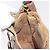 Borsa Sherry Line GG Supreme Web di GUCCI in PVC beige e oro 72 02 034 Auth 176268 D'oro - vista 19