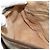 Borsa Gucci GG Supreme Web Sherry Line PVC Beige Oro 89 02 077 Auth bs34659 D'oro - vista 20