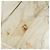 CHANEL Nuova Linea da Viaggio Borsa Tote Nylon 2 Set Beige CC Auth ti3894 - vista 17