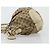 Gucci Borsa a mano GG Canvas 2way Beige Oro 247902 Auth 176270 D'oro - vista 4